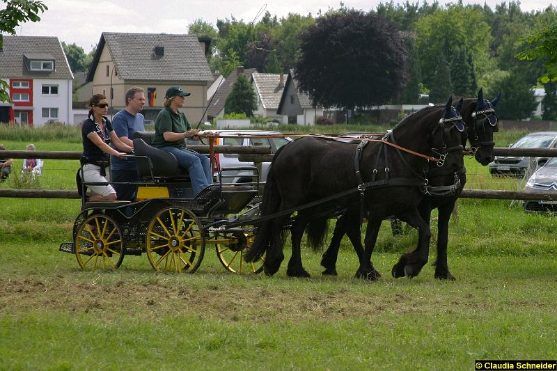 Ponytag Bosbach 2012-063.jpg